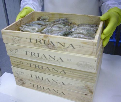 caja_triana